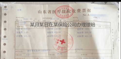 人保壽險全方位服務指南 保單查詢、驗真、發票與理賠